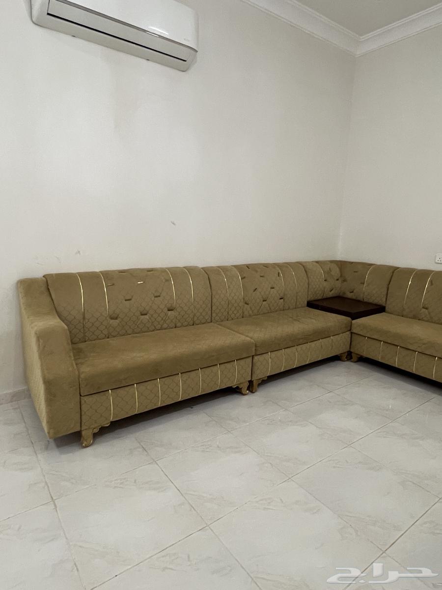 L-shaped Council64360929597955111