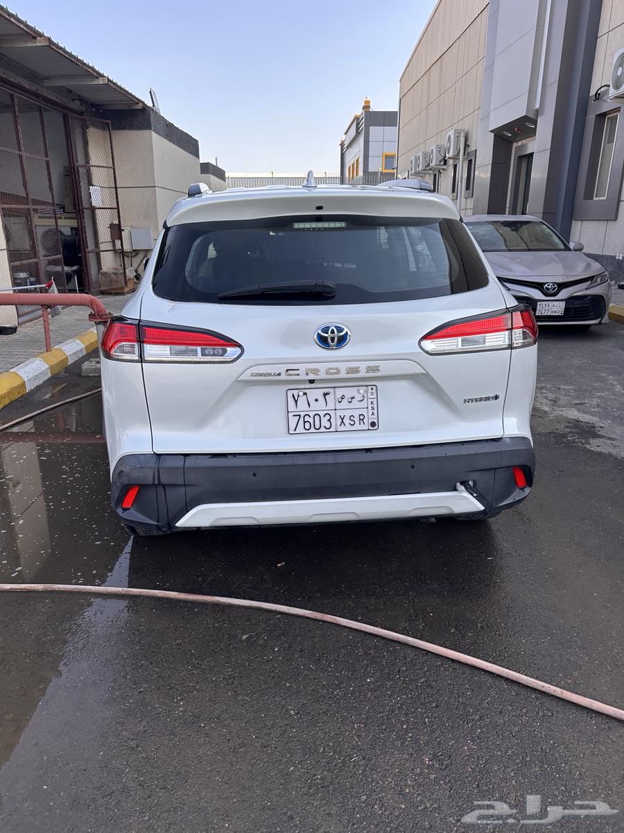 المدينه المنوره معرض القليطي64499953377794114