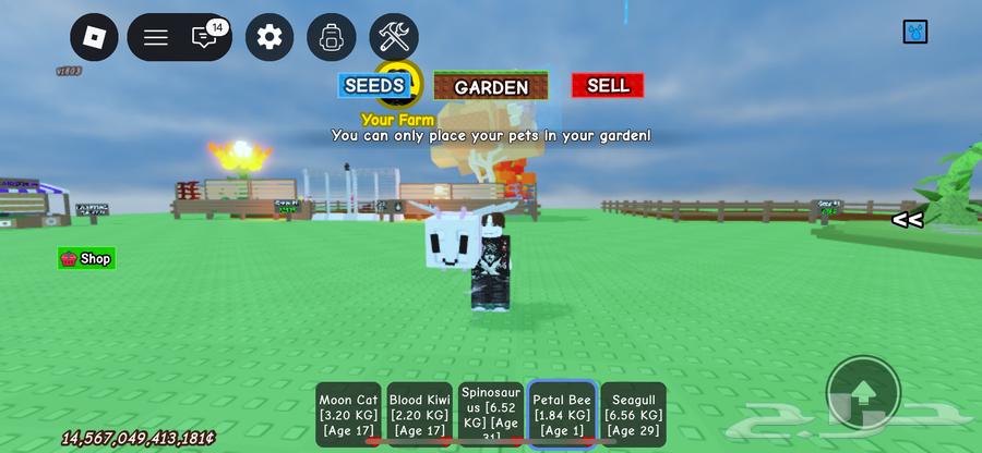 Roblox account for sale, includes Farm map with Bone Blossom, Block's Fruit map64360275652994114