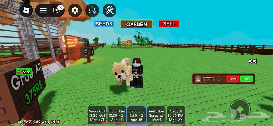 Roblox account for sale, includes Farm map with Bone Blossom, Block's Fruit map64360275652994112