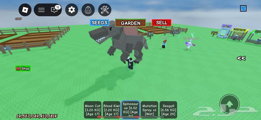 Roblox account for sale, includes Farm map with Bone Blossom, Block's Fruit map64360275652994113