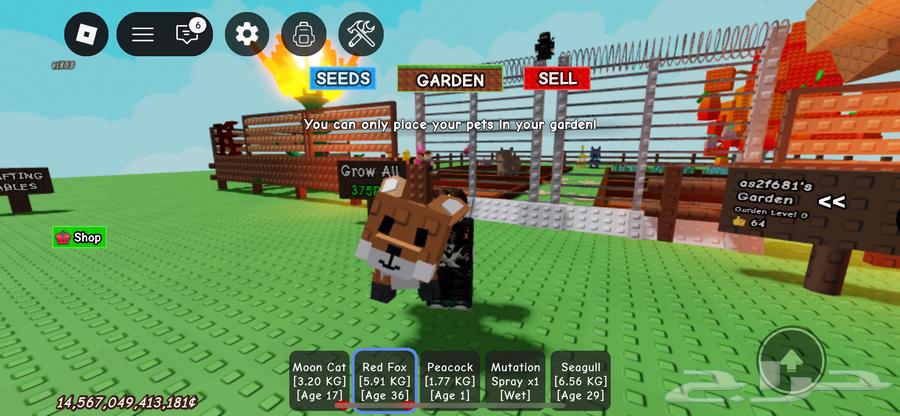 Roblox account for sale, includes Farm map with Bone Blossom, Block's Fruit map64360275652994111
