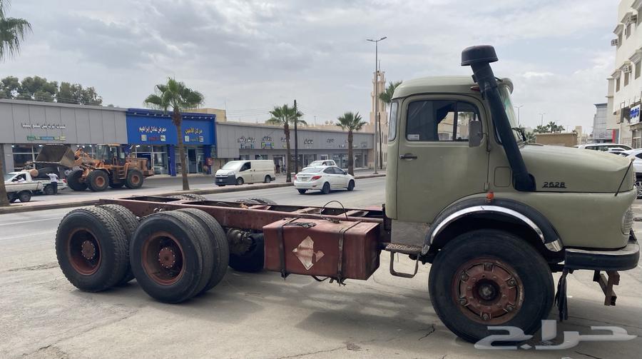 للبيع راس قلاب بوز الحجم 262864494799421699110