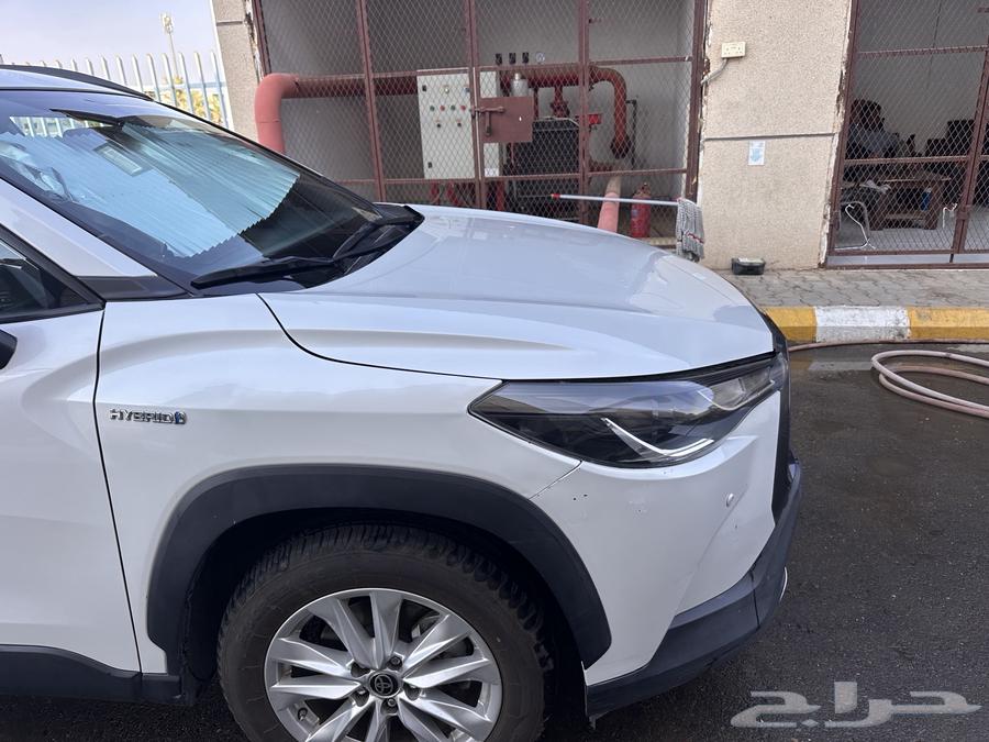 المدينه المنوره معرض القليطي64499953377794112