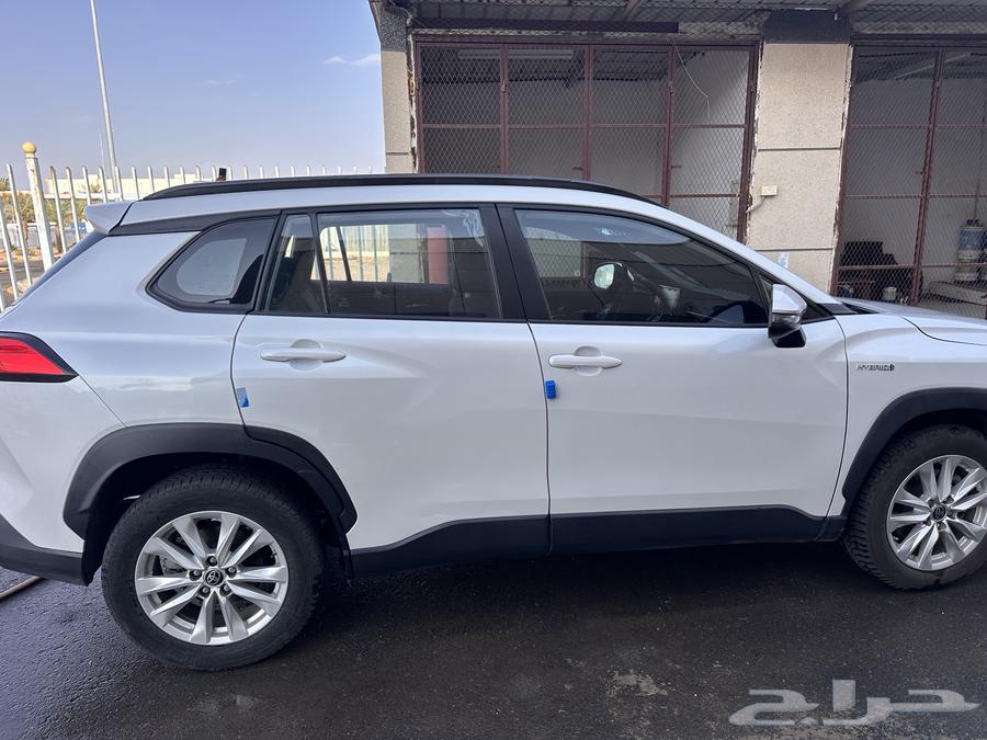 المدينه المنوره معرض القليطي64499953377794113