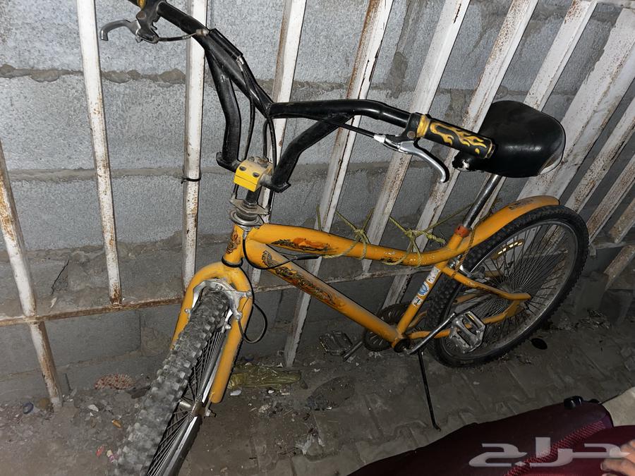 دراجة كوبرا مقاس 2664361458898562110