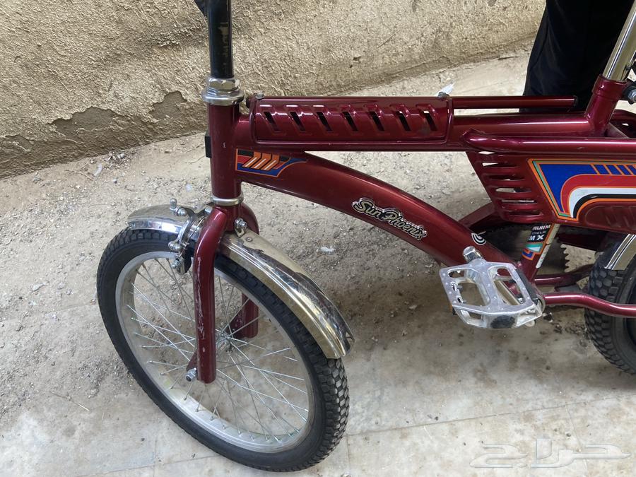 202464502045279105110