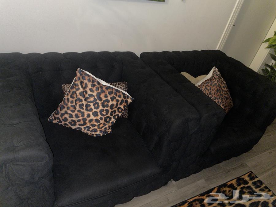 كنب اخو الجديد من ماركة Roomz64361458907139114