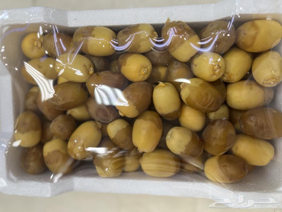 روثانه فاخر حبه كبيره64361092072835110