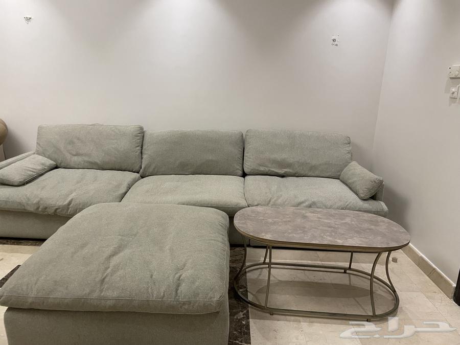 كنب من ريش النعامة64356719044738112