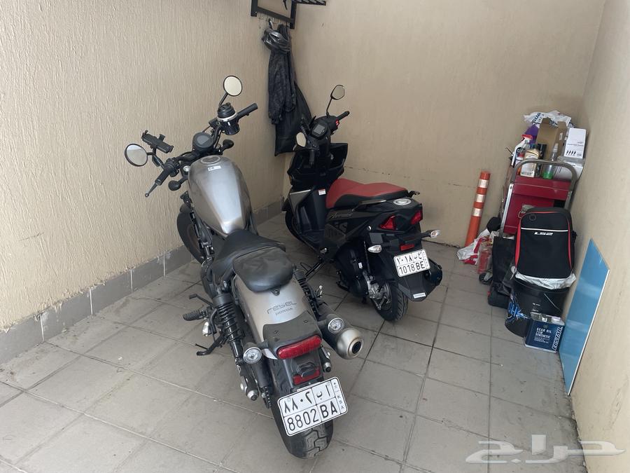 هوندا ريبل 202464494332131971111