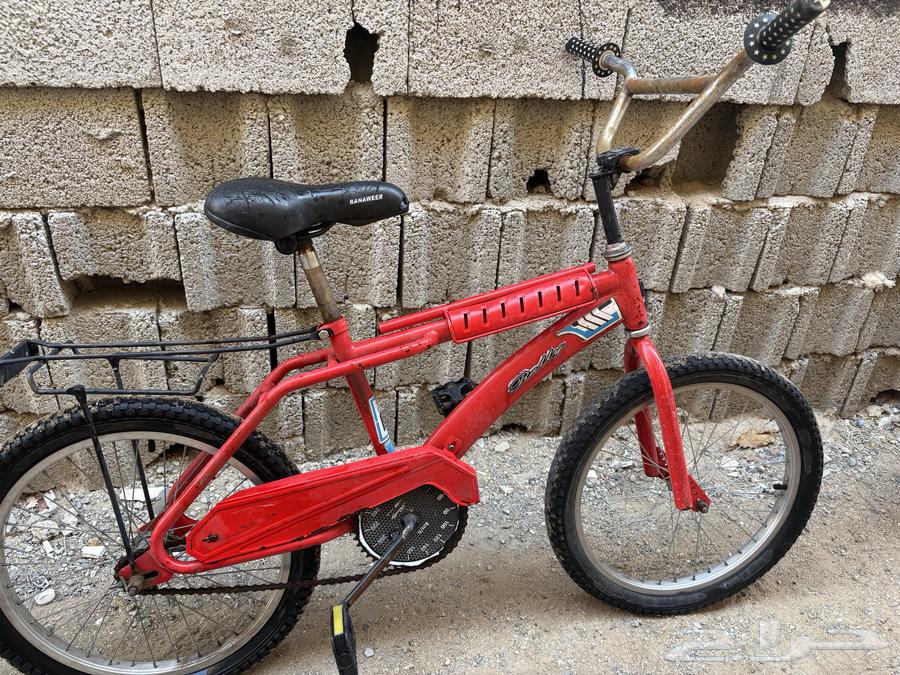 سيكل للبيع عدد 264351851695746113