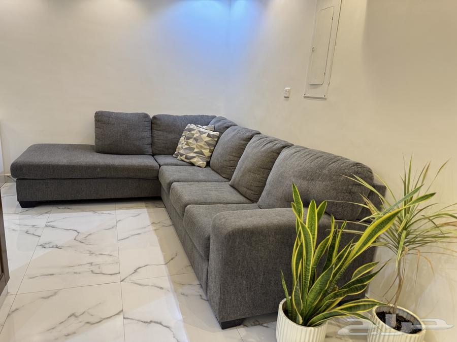 الرياض العزيزية شارع سبع بيار منزل رقم 664359966548738111