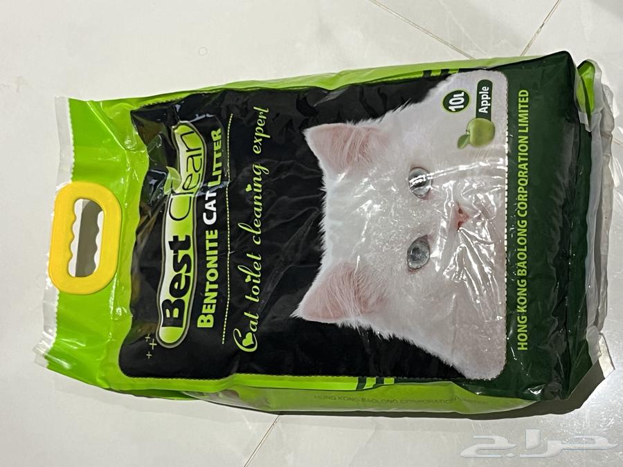 رمل قطط64359981054082112