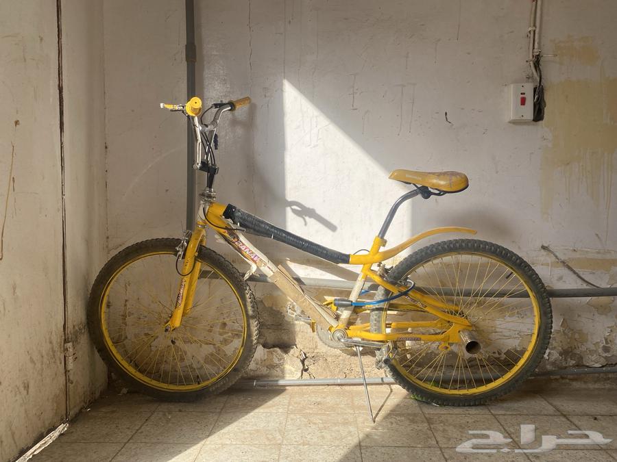 دراجة كوبرا مقاس 2664358584316161110