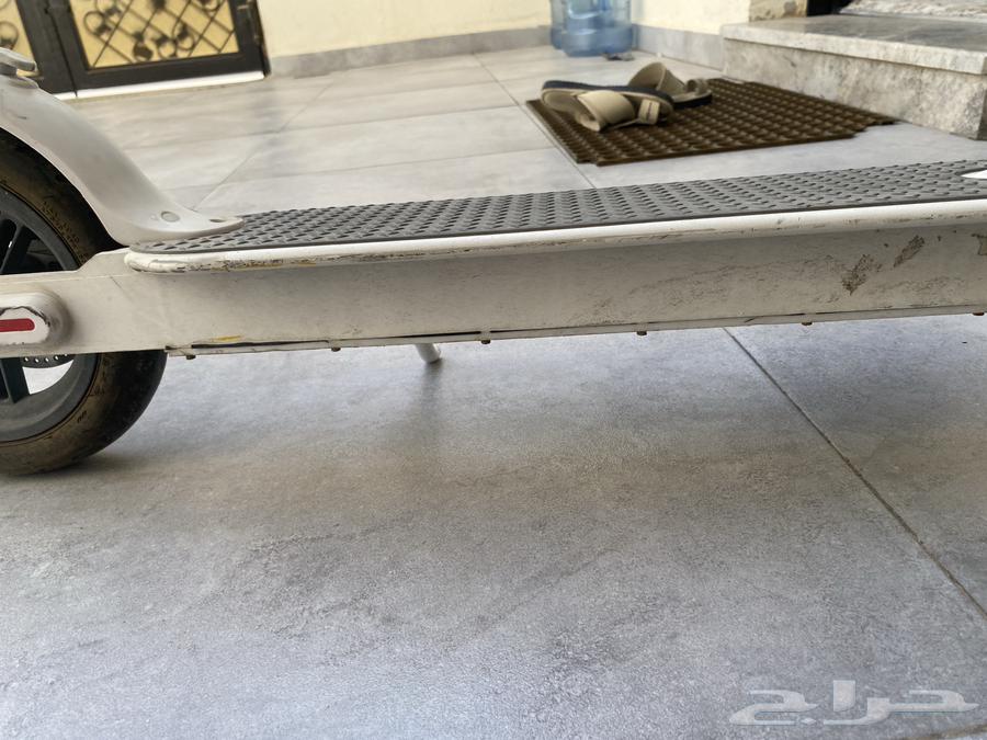 Standing scooter comes with charger and phone holder, bought for 800 now only 60064356748126977112