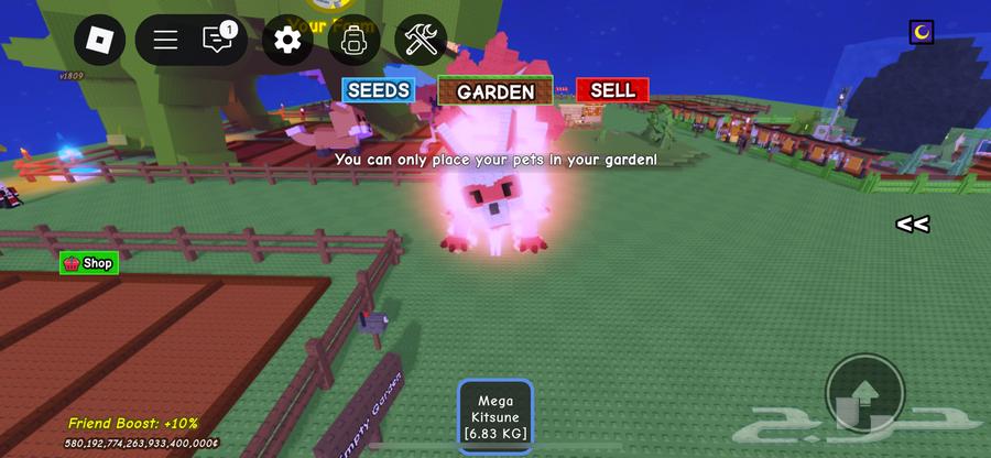 كيتسوني للبيع ب 90 صامل يجي64505564220931110