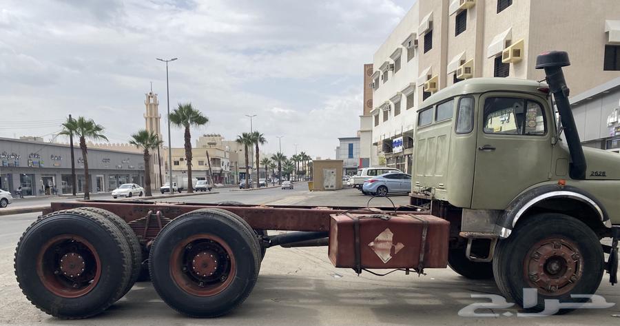 للبيع راس قلاب بوز الحجم 262864494799421699111