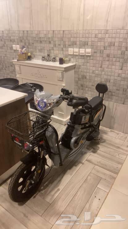 سكوتر لل بيع جيديد64355742538242110
