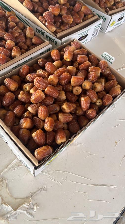 Tamur64358366989826113