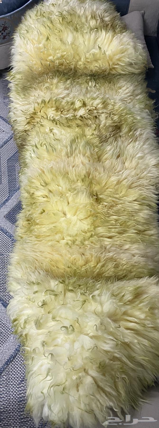 جاعد طبيعي64494652897794110