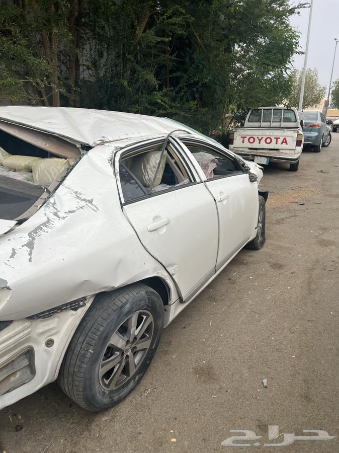 كورلا للبيع على وضعها الراهن من له رغبه حياه عليها سوم 750064499828025986111