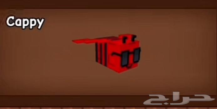 بي ديسكو سعرها 32ريال64359260349186110