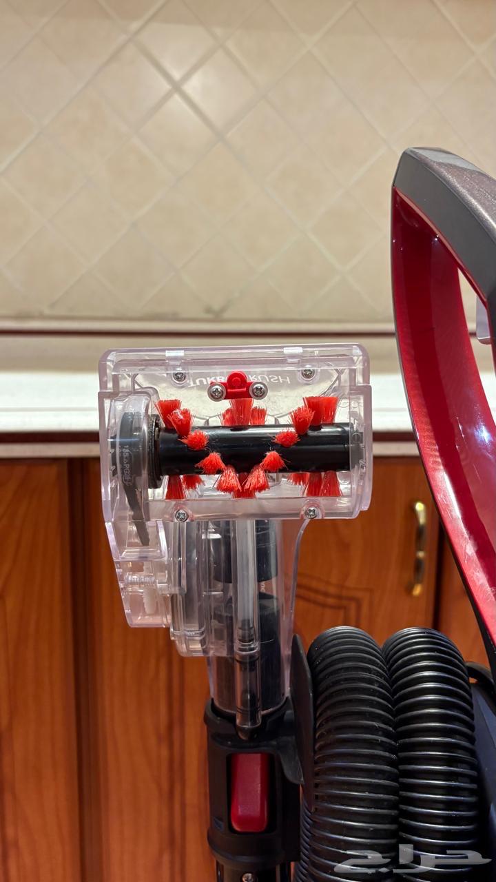 Rental of a carpet and sofa cleaning machine64361877359235114