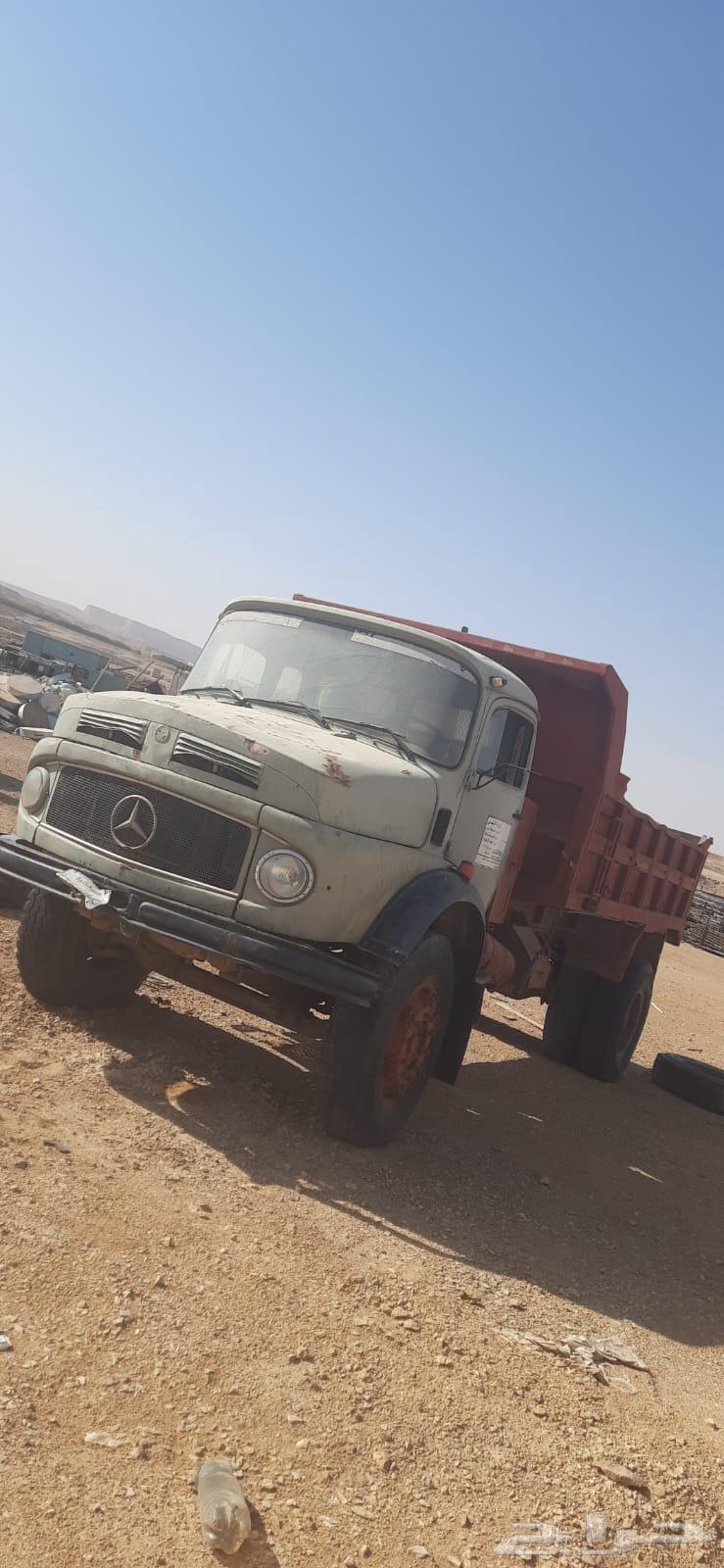 Caidi Boz 8264505107372417111