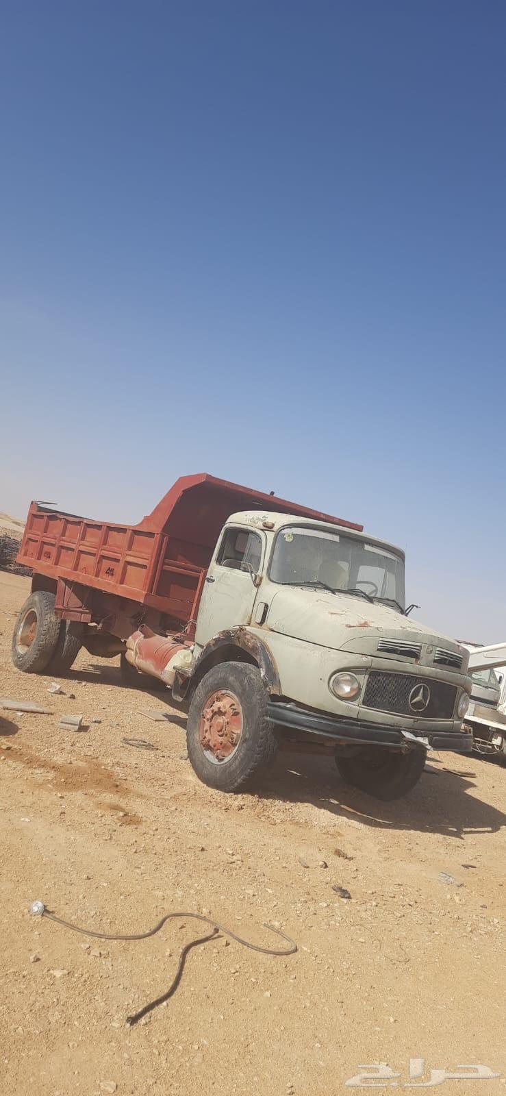 Caidi Boz 8264505107372417110