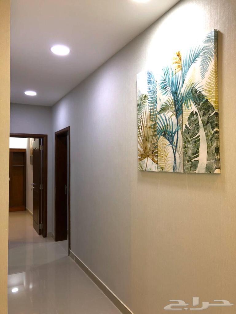 Apartments for monthly or annual rent63613861571458113