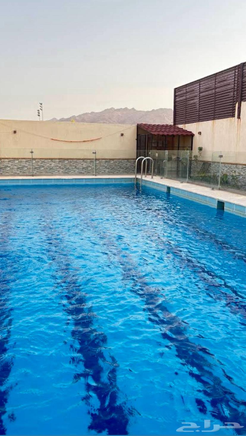 عروض اليوم الوطني 9564351078889089112