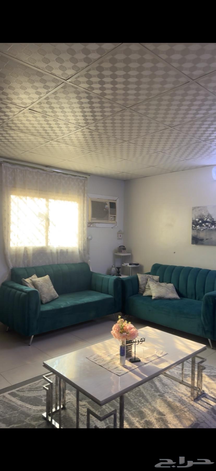 Various items for sale to the highest bidder64495091014275113