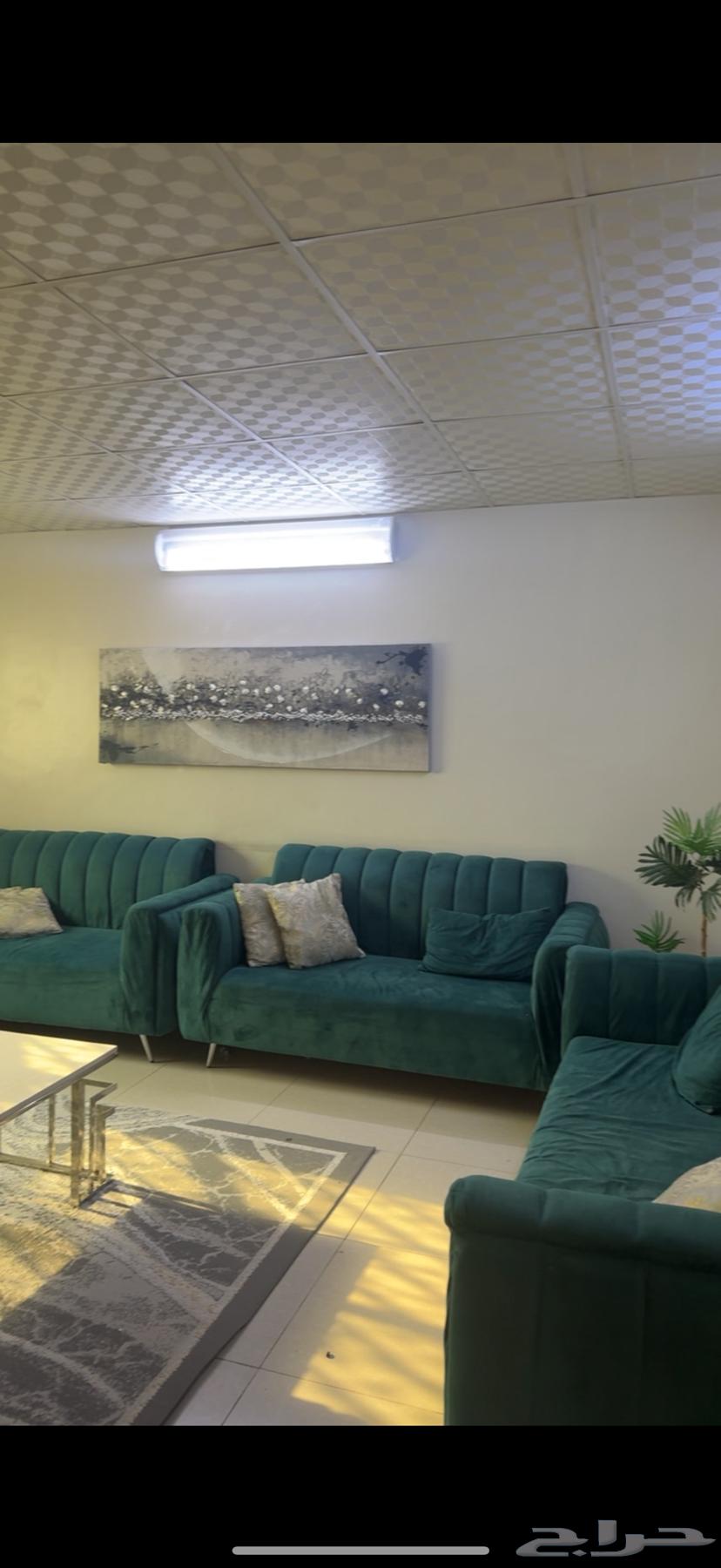 Various items for sale to the highest bidder64495091014275112