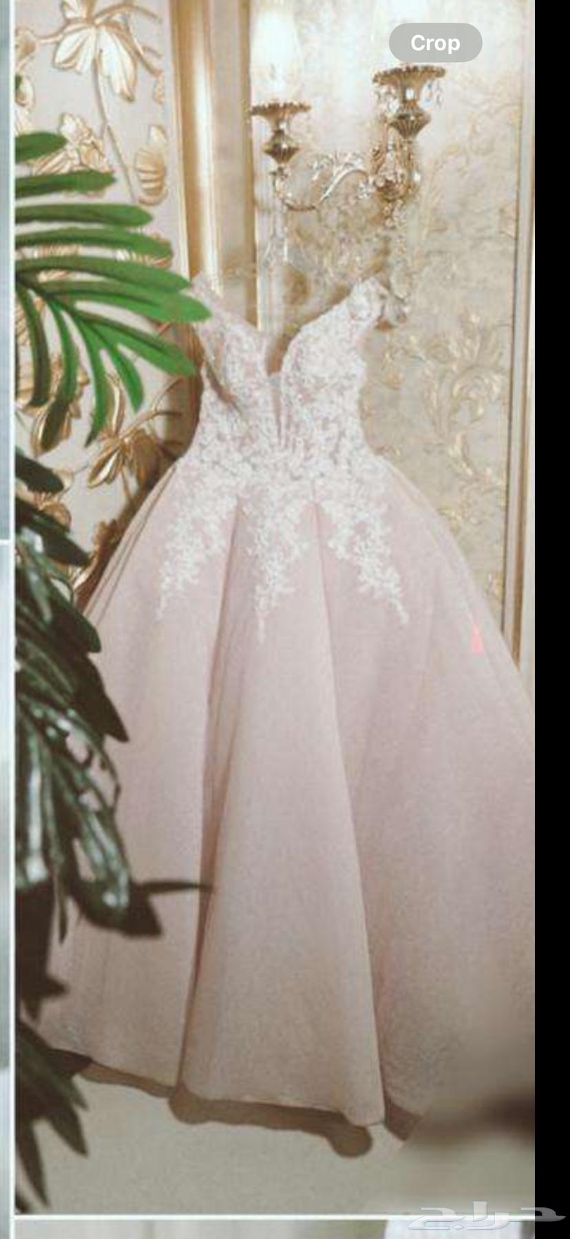 فستان ملكة او شبكة للبيع المستعجل64361922785026110