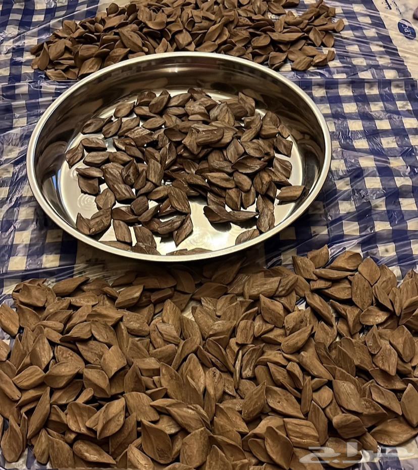 عود مروكي فاخر64349855022081112