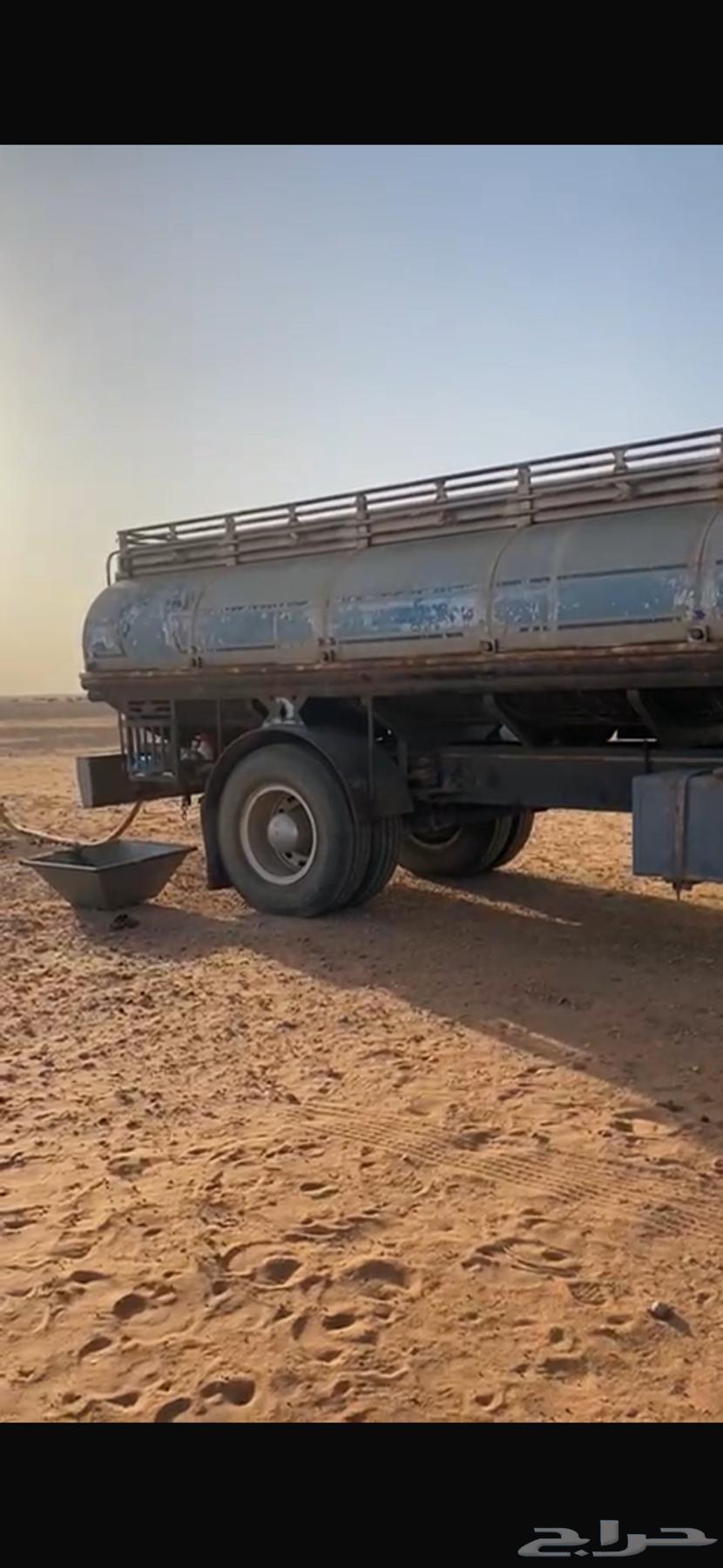 عايدي اللبي 9264505356688002110