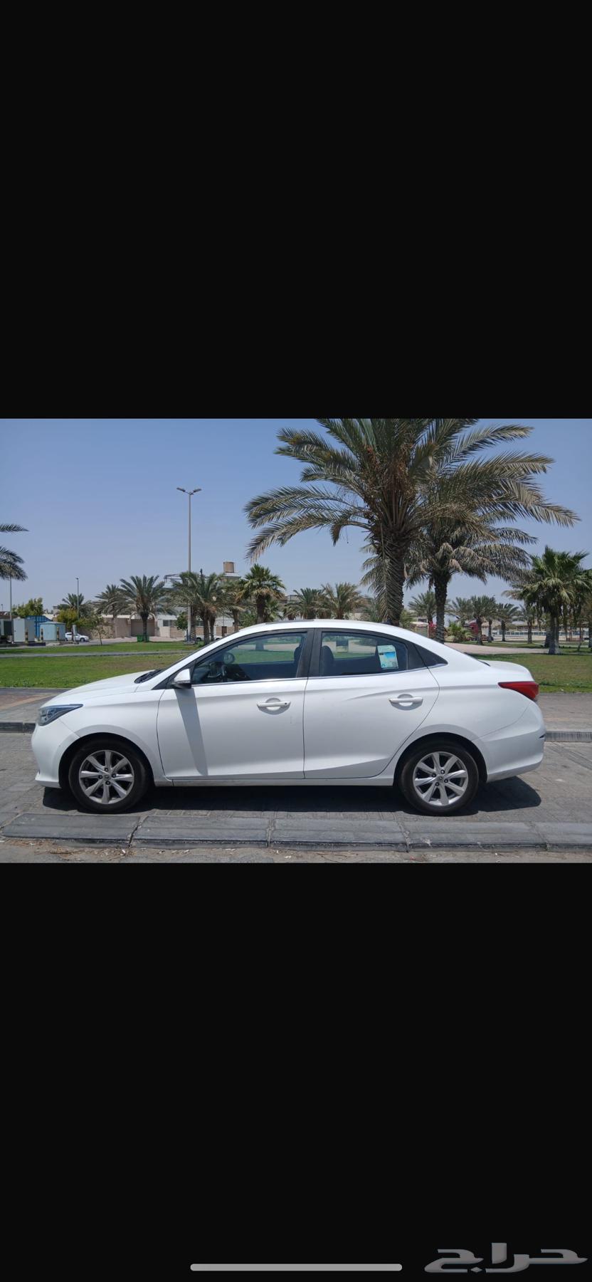 شانجان للبيع لوحة صفراء64495049935745111