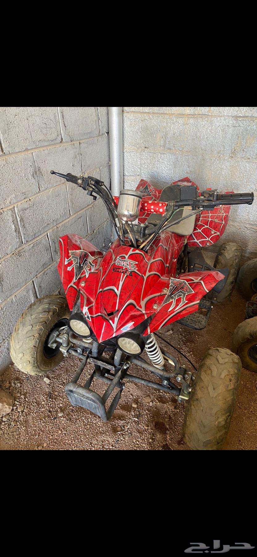 دباب فراشه صيني حجم 11064507529169923110