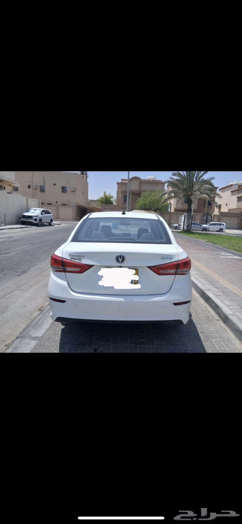 شانجان للبيع لوحة صفراء64495049935745113