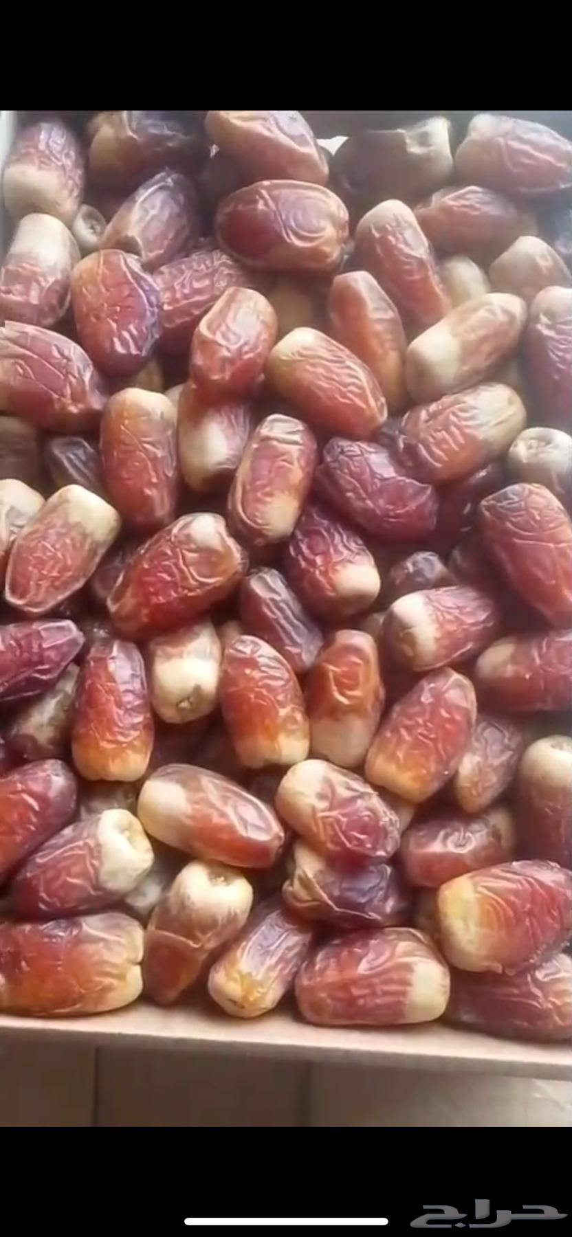 لبيع رطب صقعي 3 كيلو تقريبا64358308444547111