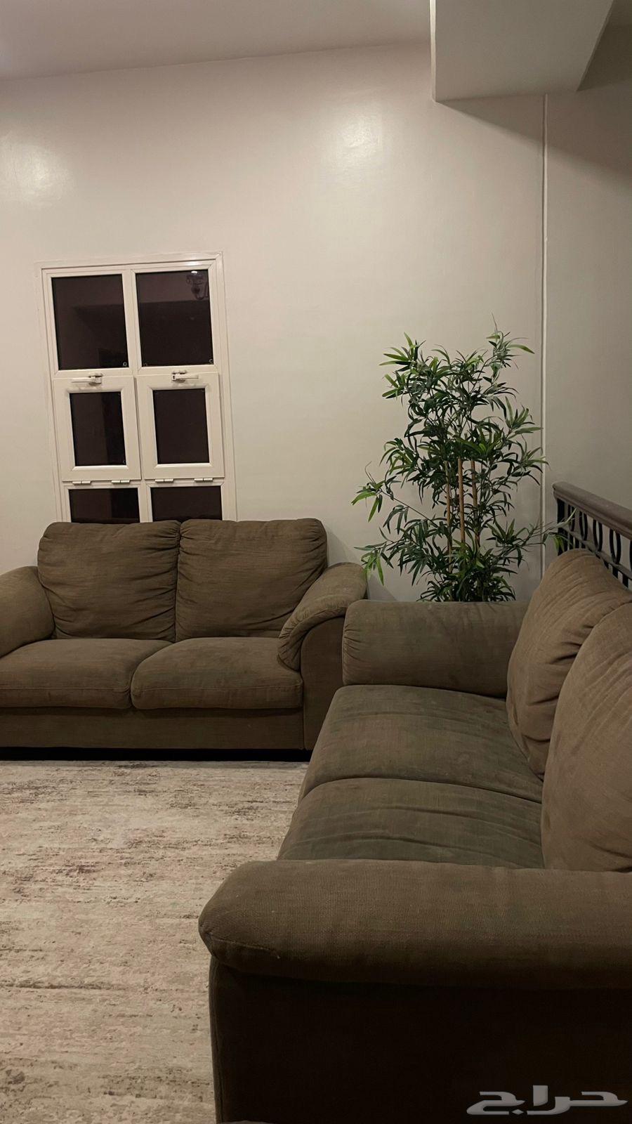 Sofa set, TV table, and floor mat64350085596035112