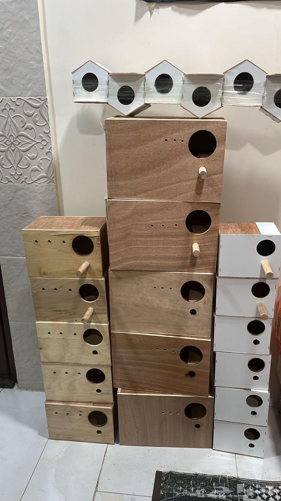 بياضات حق طيور64354696122625110