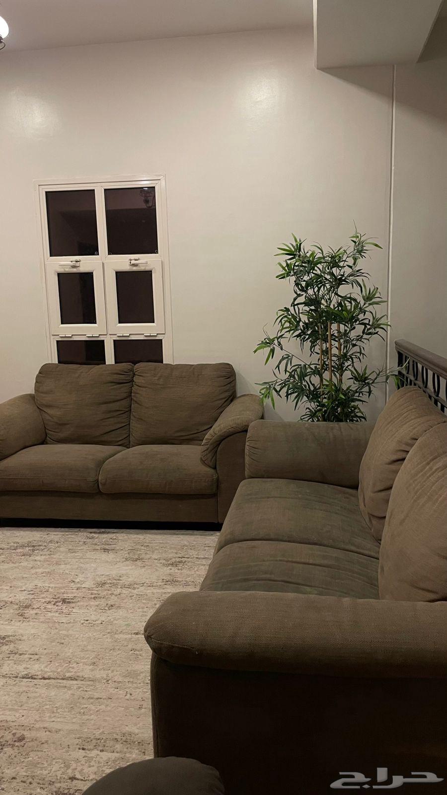 Sofa set, TV table, and floor mat64350085596035113
