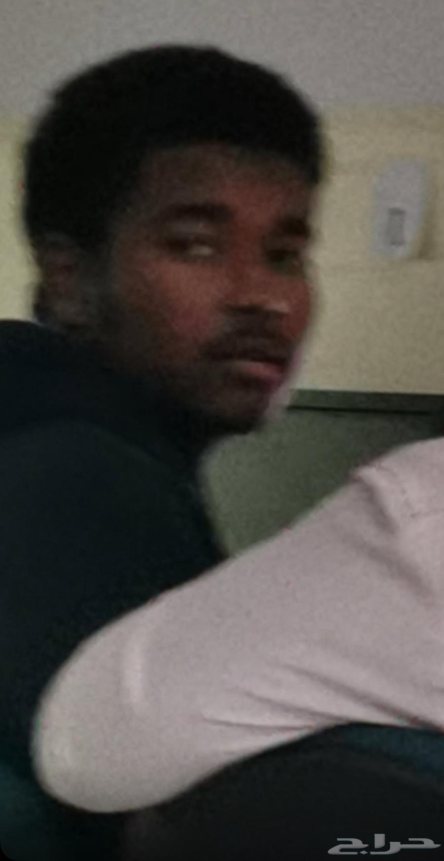 3abd للبيع64353557988099110