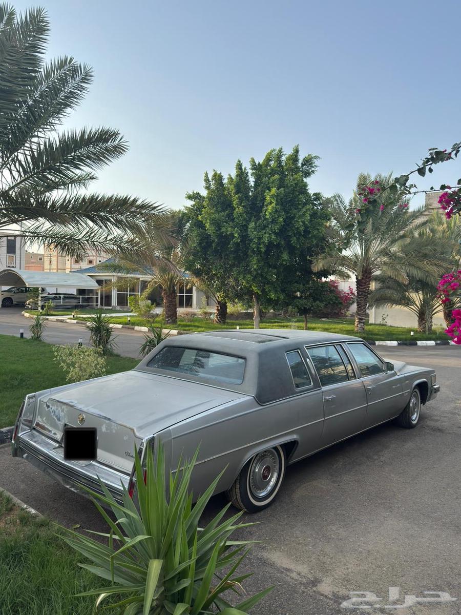 كاديلاك فليتوود ملكي طويل مخزن64507234950017111