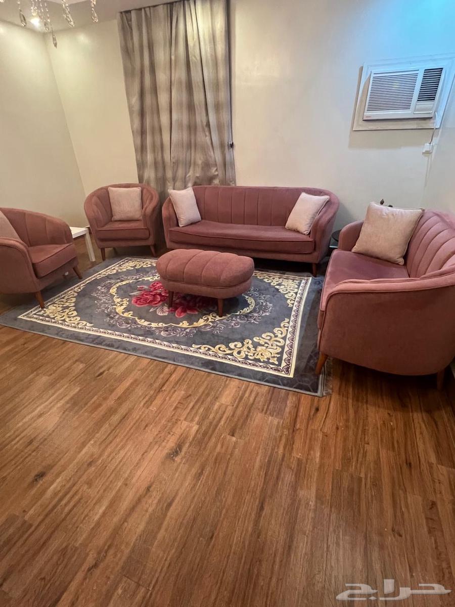 مجموعة كنبات وردية بأناقة الخشب   4 قطع64359995629314111