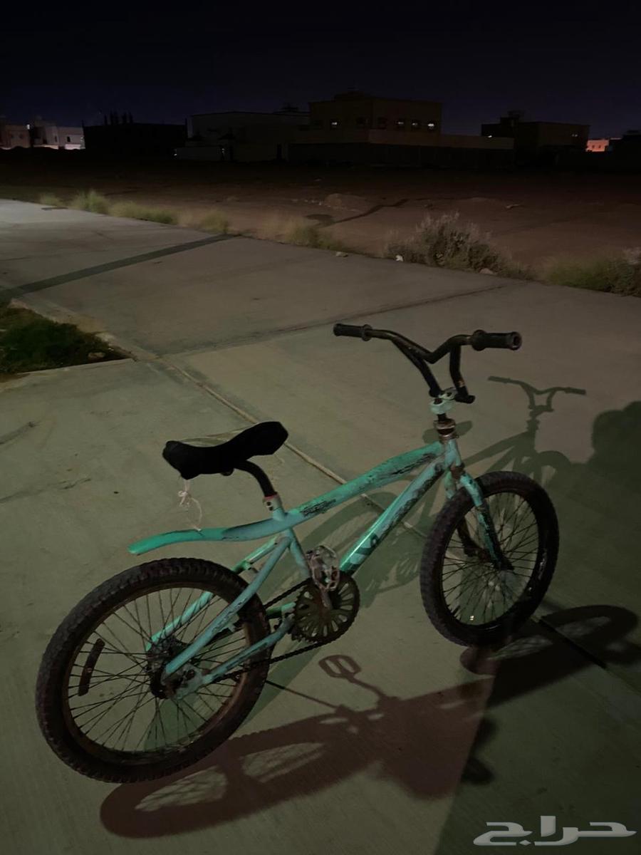 سيكل كوبرا مقاس 2064359217856769111