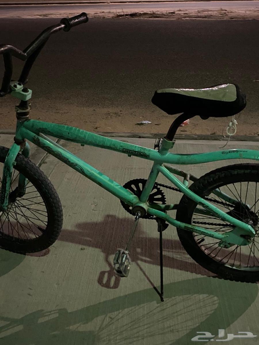 سيكل كوبرا مقاس 2064359217856769114