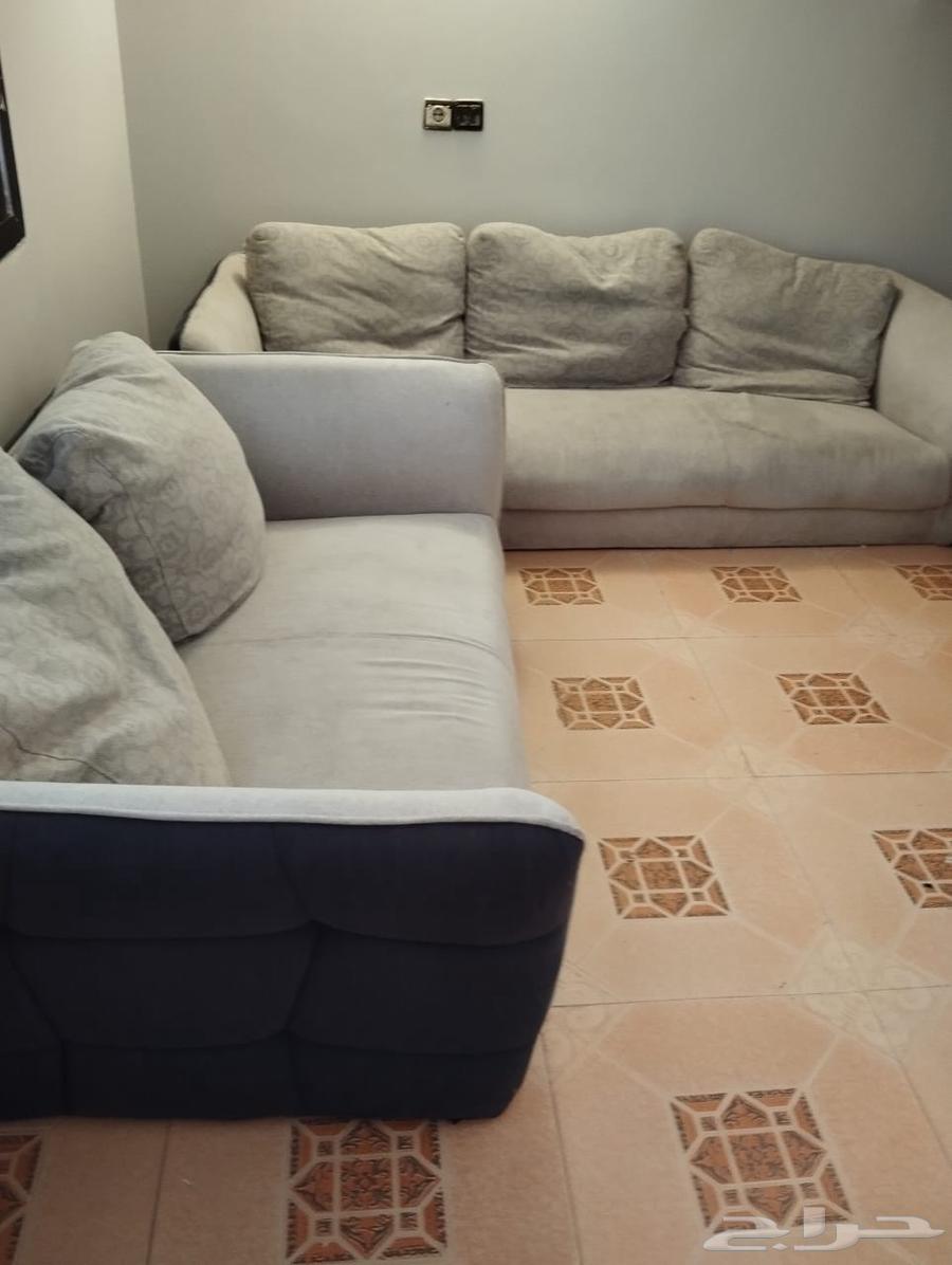 كنب أمريكي64360609289218112